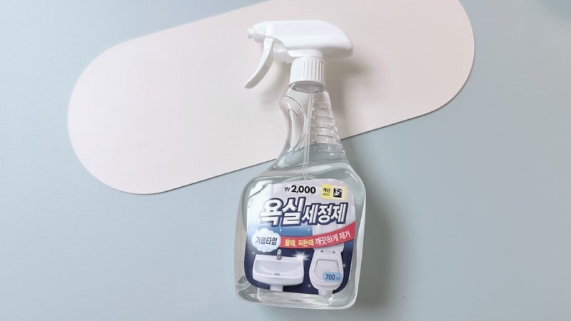 다이소가 유독 잘 만든 욕실 청소템 3종 직접 써본 추천