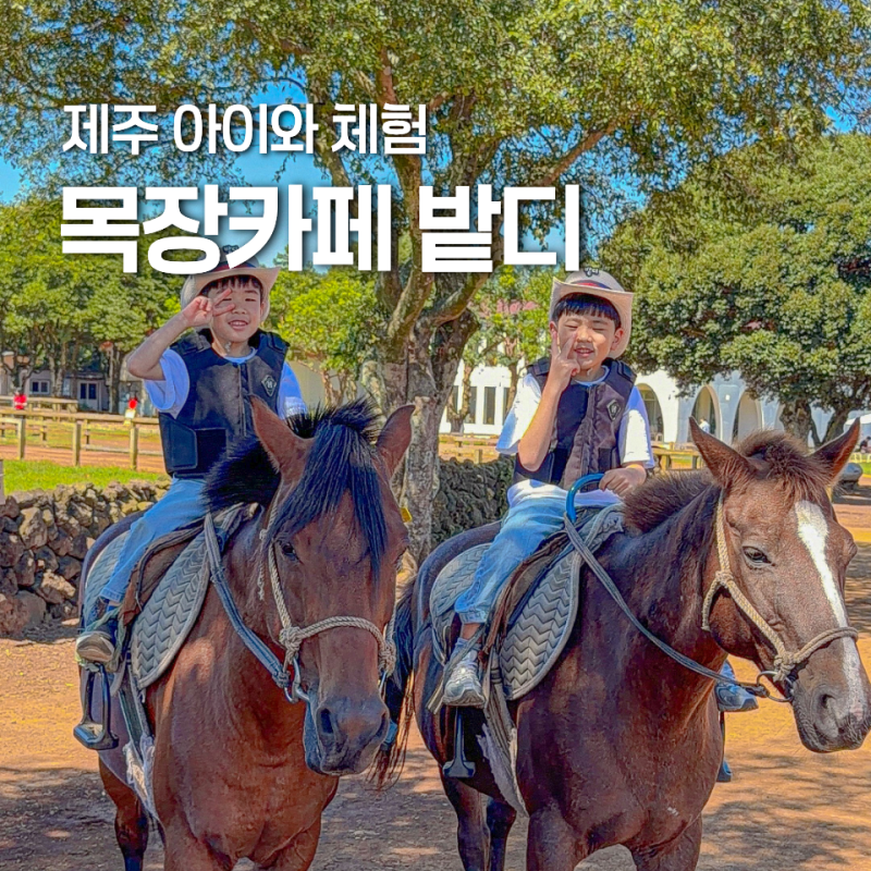제주 아이랑 가볼 만한 곳 서귀포카페 이색자전거 승마체험 목장 카페 밭디