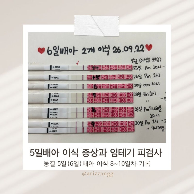 5일(6일)배아 이식 8일 9일 10일차 증상과 임테기, 드디어 1차 피검사 수치 결과까지