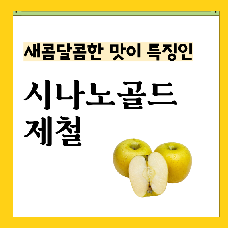 시나노골드 사과 이름 뜻 제철 수확시기 맛 특징