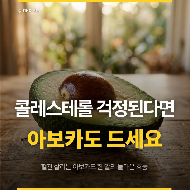 "고지혈증 걱정된다면 영양제보다 먼저 드세요" 혈관 살리는 아보카도 한 알의 놀라운 효능
