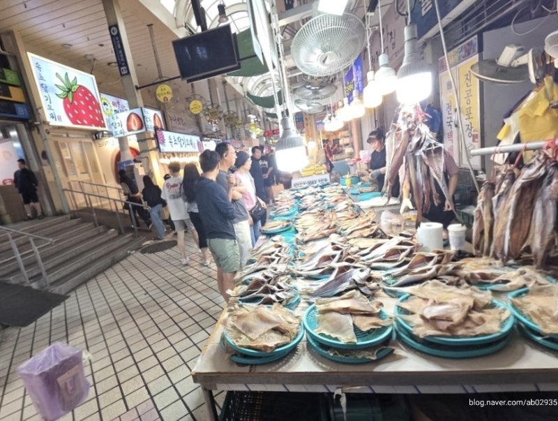 Sokcho Tourist & Fishery Market: Food, Sights, and a Tour of Sokcho Jungang Market