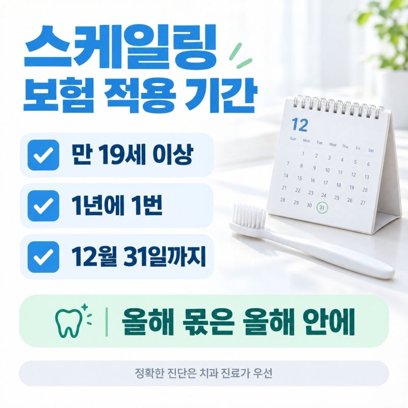 스케일링 보험 적용 기간과 횟수, 본인부담금·조회 방법 총정리