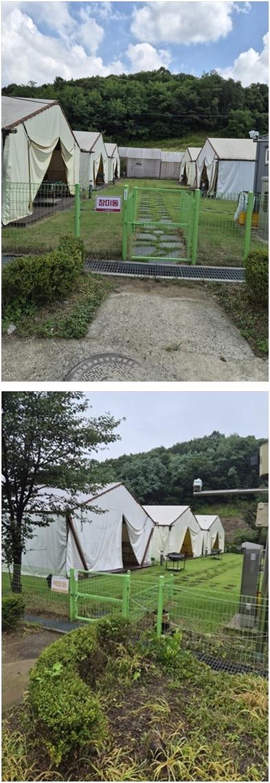 연천카라반 처음 고를 때 많이 묻는 것들 제가 겪은 기준으로 풀어볼게요