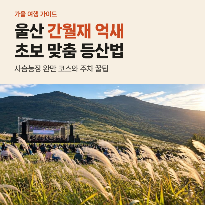 울산 간월재 억새 초보 등산코스, 사슴농장 임도와 주차 꿀팁 4가지