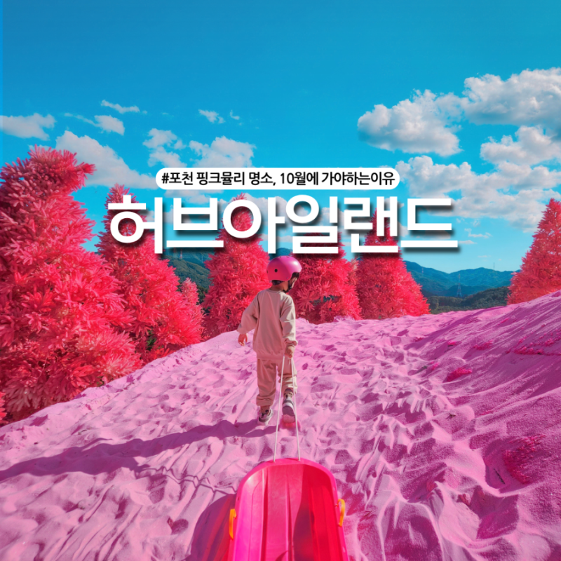 포천 허브아일랜드 핑크뮬리축제 명소! 경기도 가을 여행지