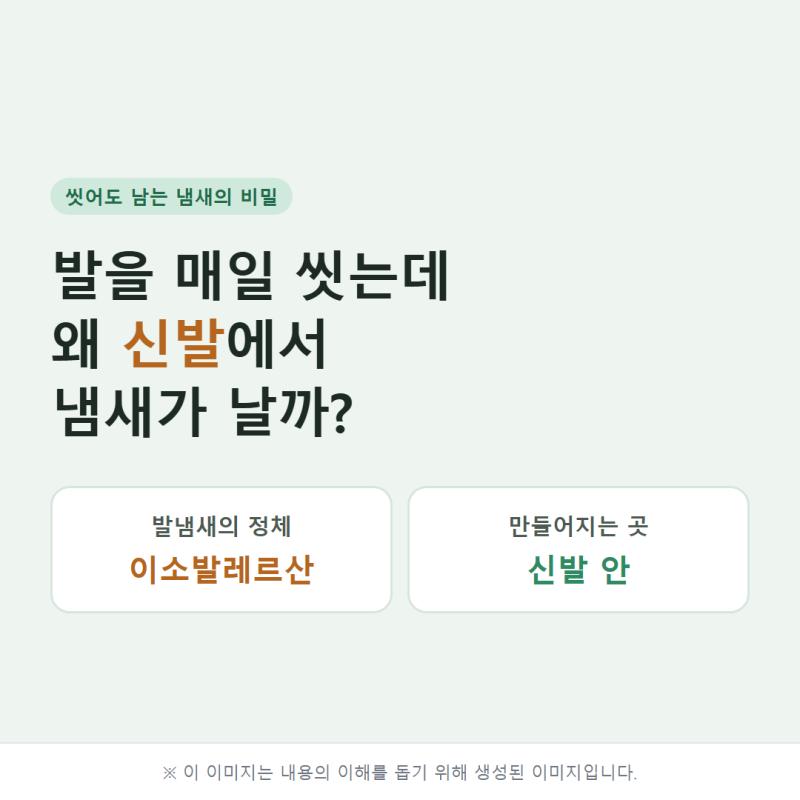 발을 매일 씻는데 왜 신발에서 냄새가 날까? 발냄새의 정체 '이소발레르산'｜온유어라이프 ....