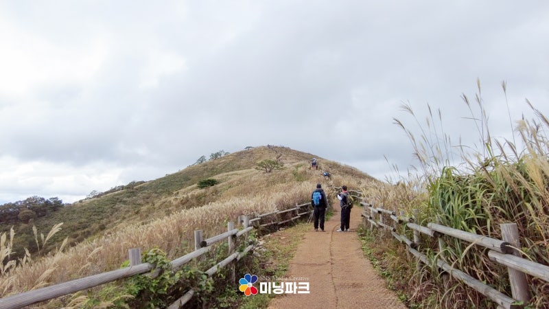 정선 민둥산 최단코스 등산 증산초등학교 출발 소요시간 편도 1시간 40분 민둥산 억새 한창!