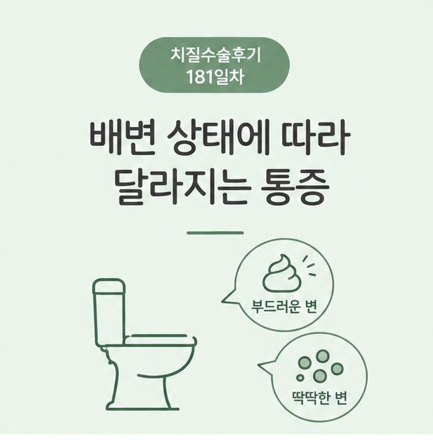 치질 수술 회복 기간 후기 181일차, 조심하면서 지내는데도 배변이 힘들면 다시 아프다