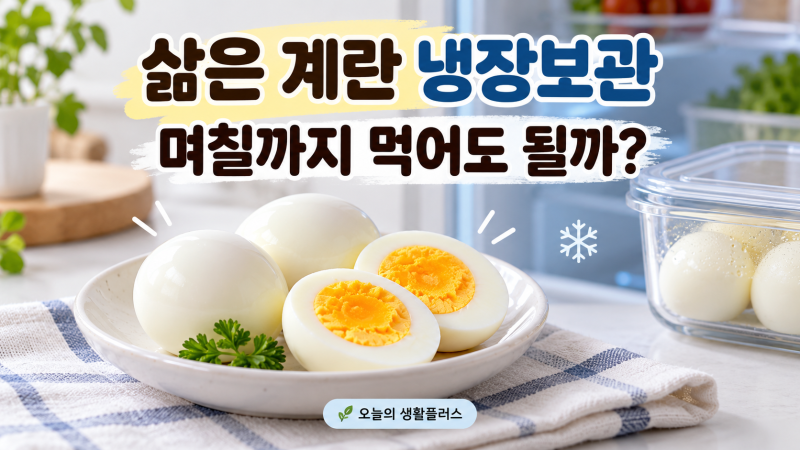 삶은 계란 냉장고보관, 며칠까지 먹어도 될까? 보관법 한 번에 정리