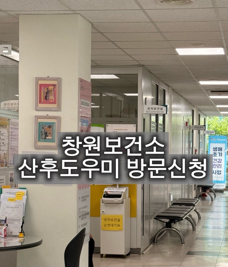 창원 산모신생아건강관리지원 산후도우미 창원보건소 방문신청하기