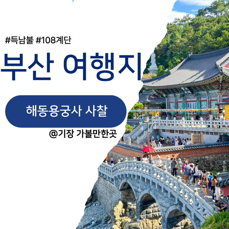 부산 기장 가볼만한곳 해동용궁사 절 바다를 낀 사찰 주차장