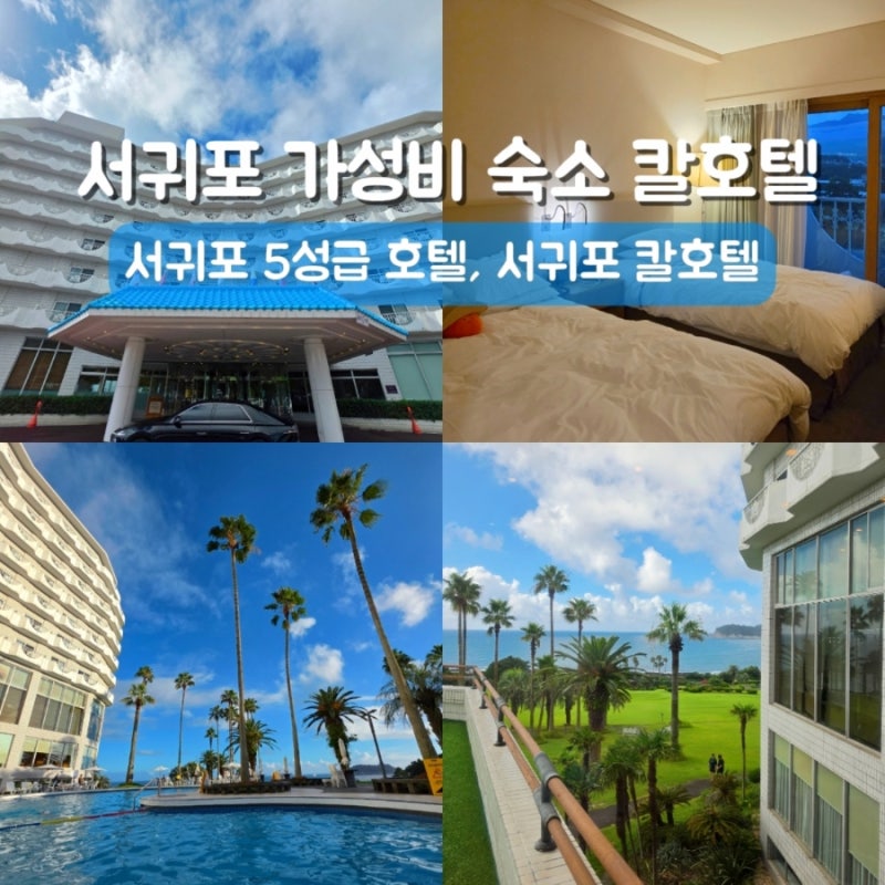 제주 서귀포 숙소 가성비 있는 5성급 칼호텔 수영장과 스탠다드 트윈 마운틴뷰
