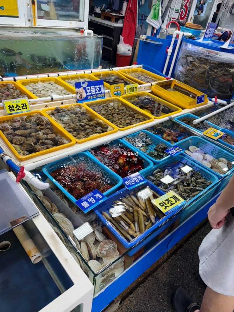 태안 만리포 장보기 코스추천: 모항항 수산시장 직판장&금자네 사랑방 바삭한 튀김까지 먹거....