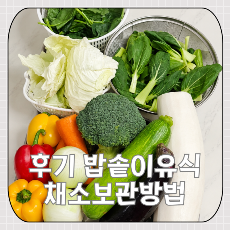 후기이유식 3끼 한 달치 채소 준비 끝! 밥솥이유식 야채 보관방법