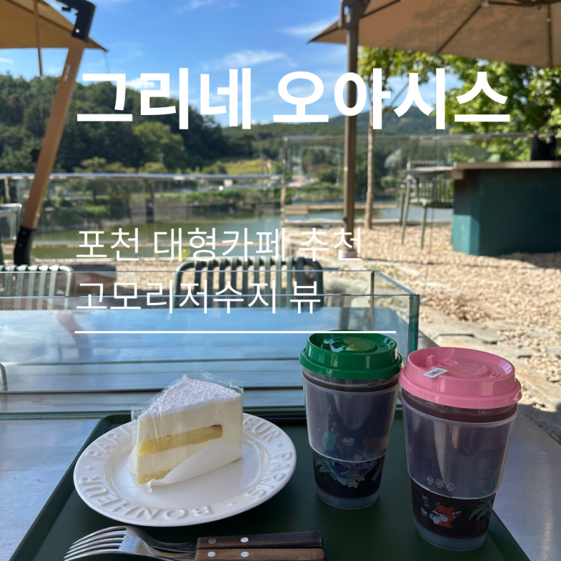 포천 대형 베이커리 카페 그리네 오아시스, 포천 애견동반 카페 고모리저수지 호수뷰 포천여....