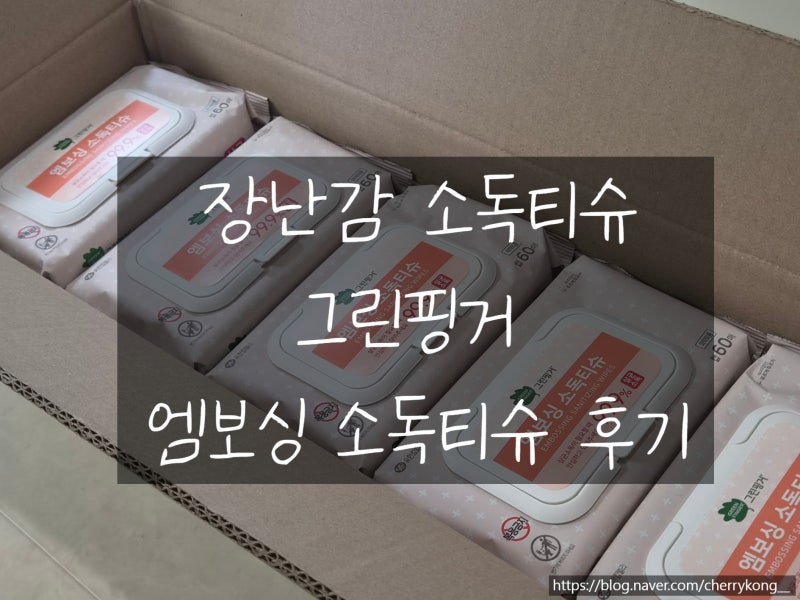 그린핑거 소독티슈 99.9% 살균 엠보싱 물티슈 사용 후기 아이 장난감 청소부터 집안 청소까지