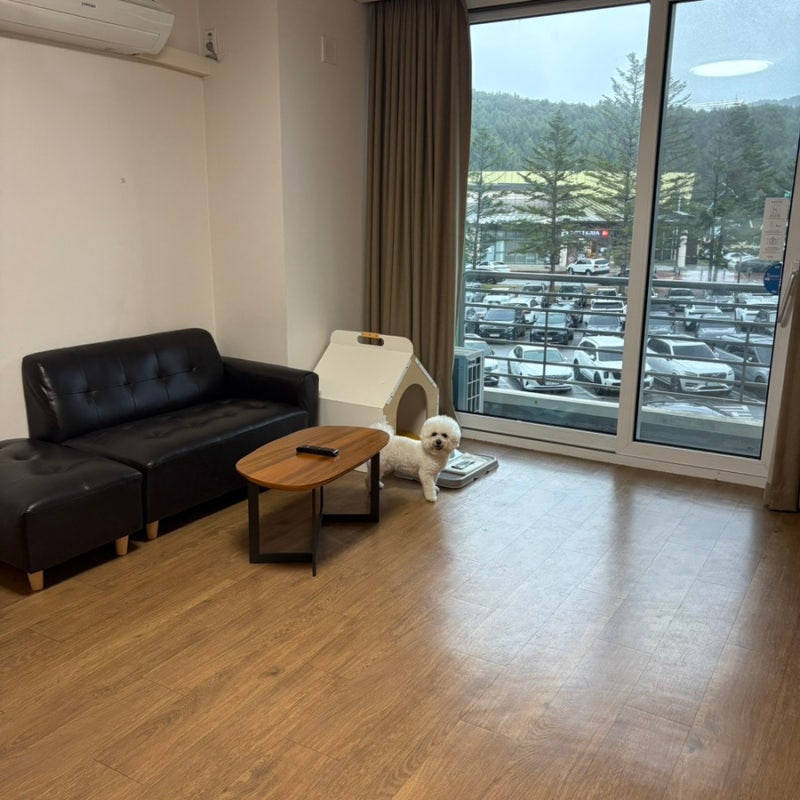 평창) 강원도 여행 숙소 추천, 평창 휘닉스 파크 펫룸 숙박 시설 후기, 휘닉스파크 놀거리 부....