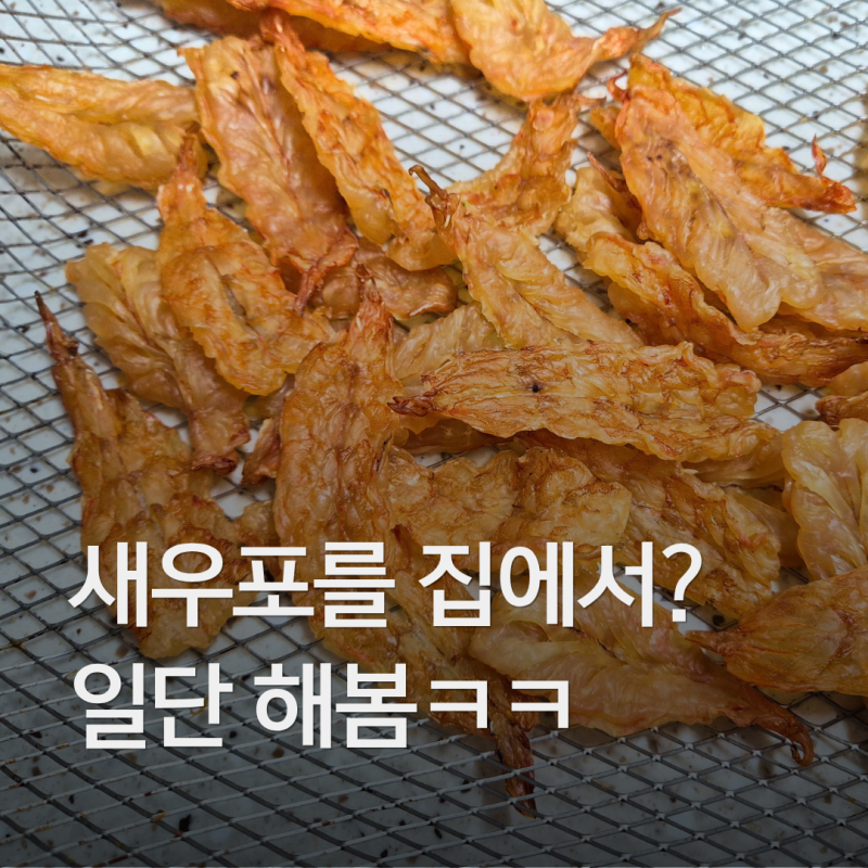 새우포 집에서 만들어보기, 에어프라이어로 첫 도전
