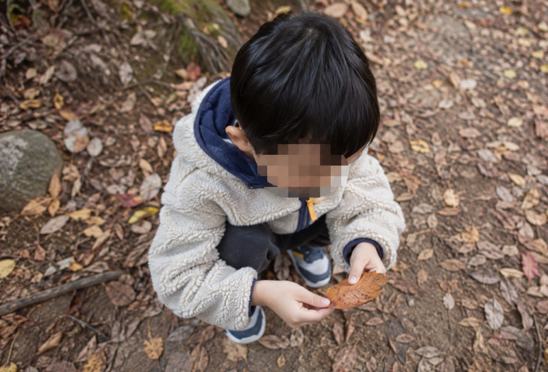 웩슬러 지능검사에서 점수가 낮으면 경계선 지능인가요?