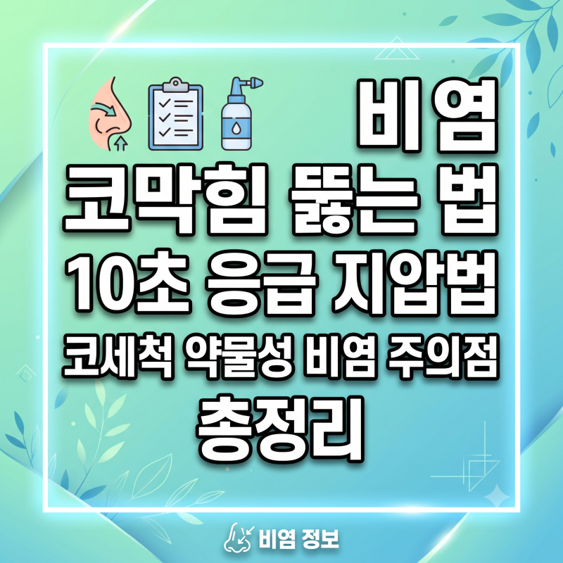 비염 코막힘 뚫는 방법 10초 응급 지압법 생리식염수 코세척 총정리