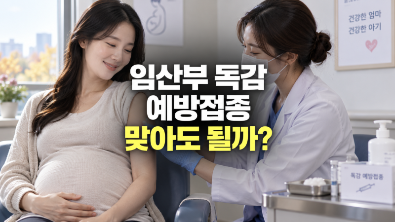 임산부 독감 예방 접종 맞아도 될까? 필수 여부, 권장 시기, 종류, 가격, 무료 혜택, 안정성