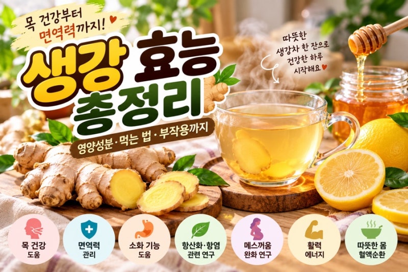 생강 효능 총정리 매일 생강차 마시면? 영양성분·먹는 법·부작용까지