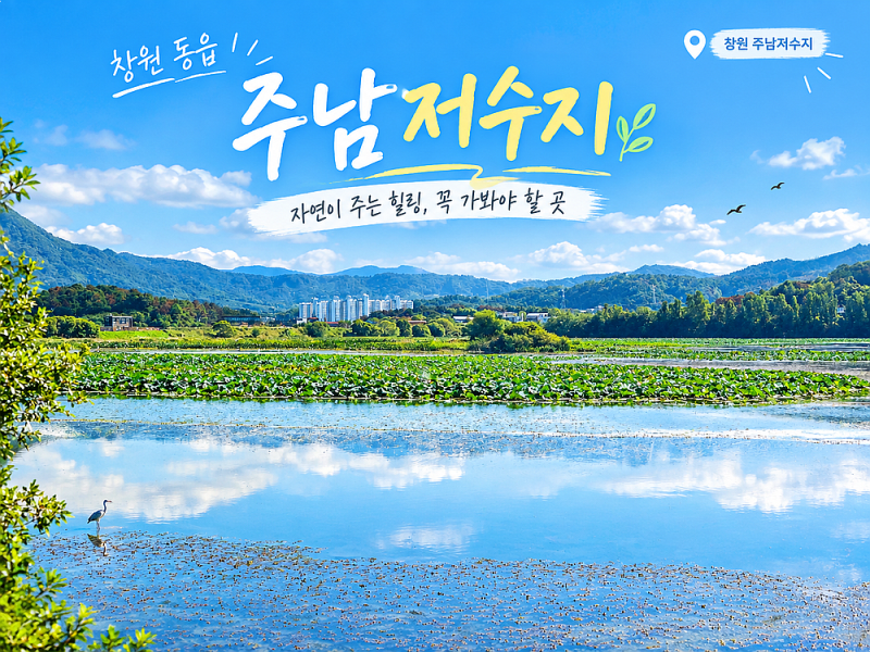 Changwon Drive Course: Junam Reservoir Ramsar Culture Center, a Great Place to Visit Near Busan