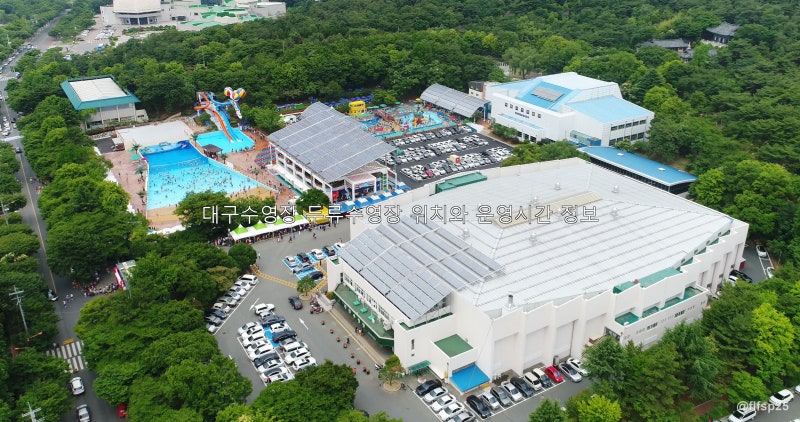 대구수영장 두류수영장 위치와 운영시간 정보