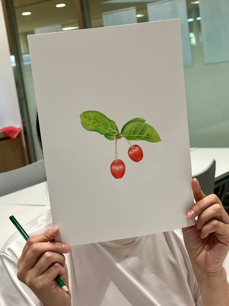 색연필로 만나는 식물 이야기｜이마트 컬처클럽(양주점) | 가을학기 보태니컬아트