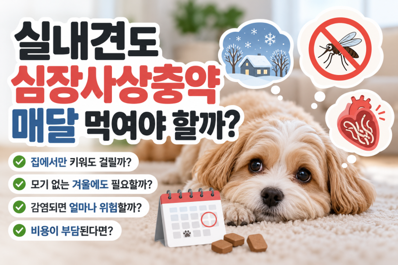 강아지 심장사상충약 넥스가드 스펙트라 매달 먹여야 할까? 실내견·겨울철에도 필요한 이유