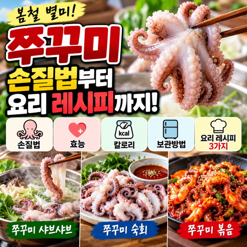 쭈꾸미 제철은 언제? 손질법부터 효능·칼로리·보관방법·요리 레시피 3가지 쭈꾸미 맛있게 ....