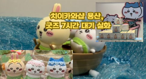 치이카와샵 용산, 인어섬의 비밀 굿즈 7시간 대기 실화