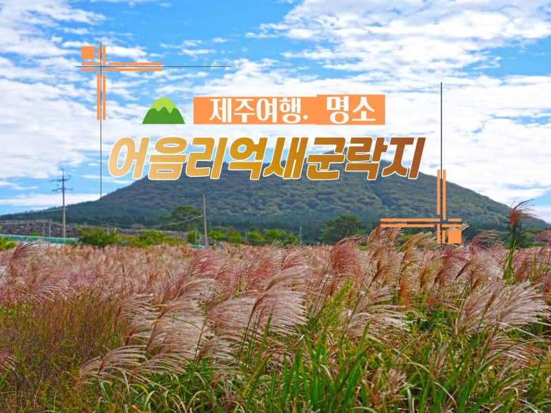 Recommended October Jeju Island Travel Destination: Eoeum-ri Reed Colony