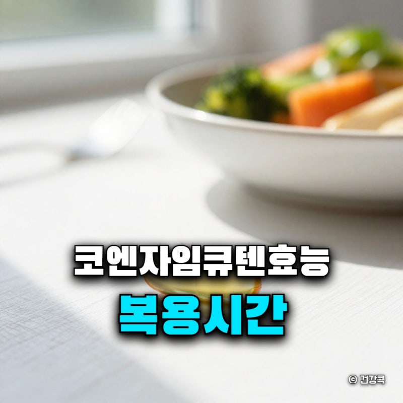 코엔자임큐텐 효능 복용시간, 식전 식후 언제가 좋을까?