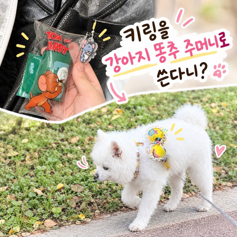 다이소 키링 강아지 똥츄 배변봉투 주머니로 쓴다면?