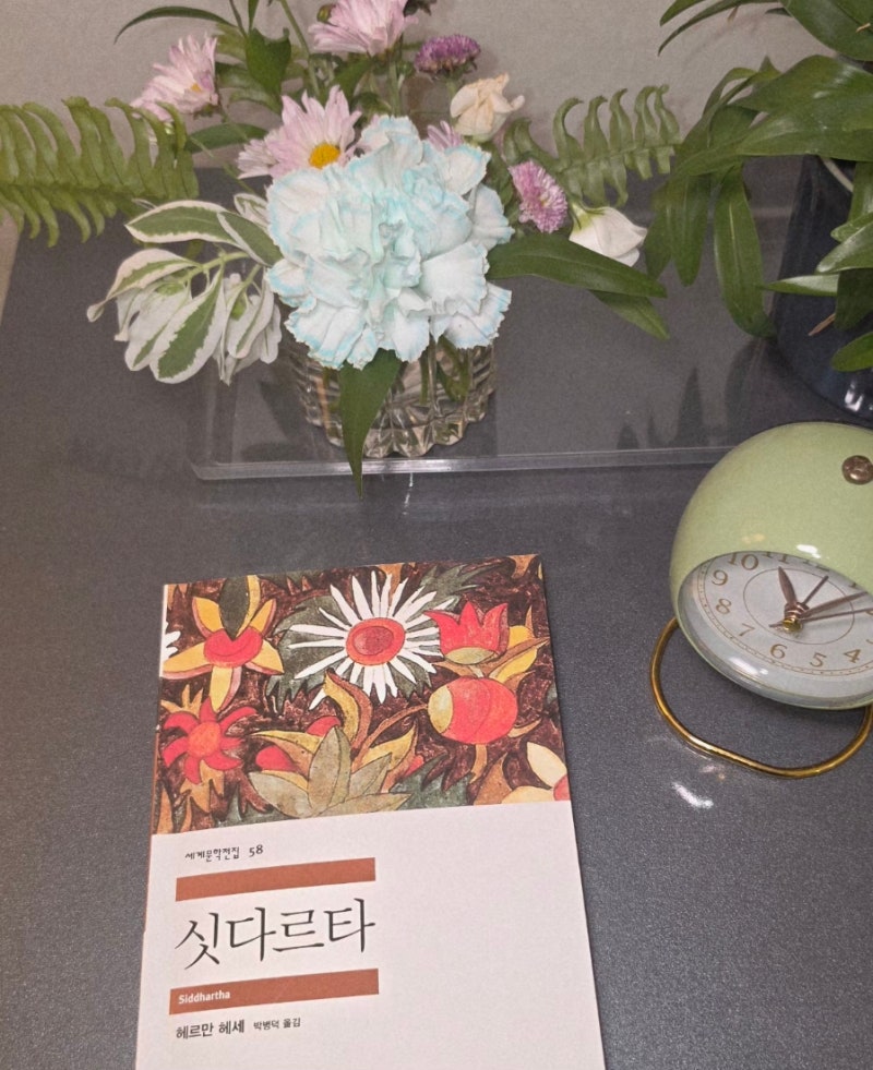 디톡스 다이어트. 싯다르타