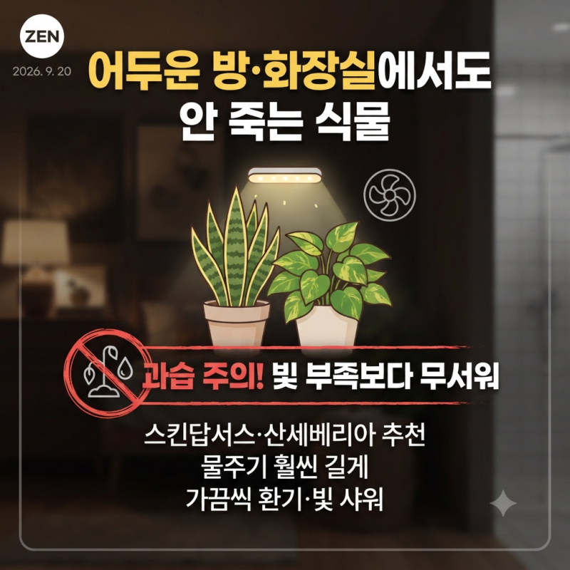 해가 잘 안 드는 북향 방이나 화장실에서도 잘 자라는 음지 식물 선택법