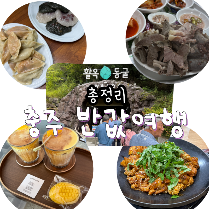 충주 반값여행 50% 환급받기! 신청방법부터 정산까지 총정리