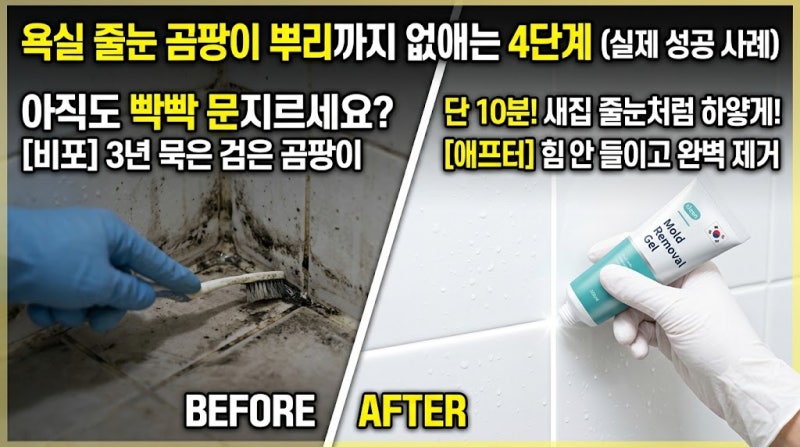 "아직도 빡빡 문지르세요?"욕실 타일 줄눈 곰팡이 5분 완벽 제거법(실제 성공 사례)