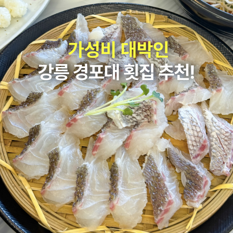 강릉 횟집 추천, 경포대 스카이베이호텔 근처 가성비 메뉴 물회 만족 후기