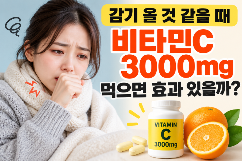 감기 올 것 같아서 비타민C 3000mg 먹었다… 정말 효과 있을까?