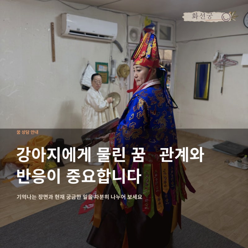 강아지에게 물리는 꿈해몽, 관계와 반응을 함께 살펴보세요