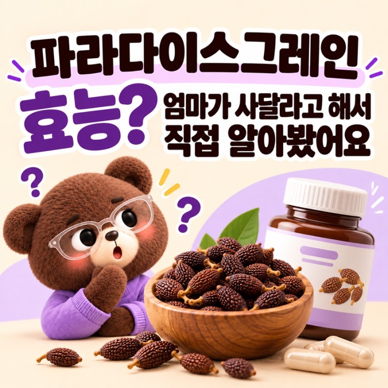파라다이스그레인 효능? 제품 추천 전 3가지 직접 비교해봤어요