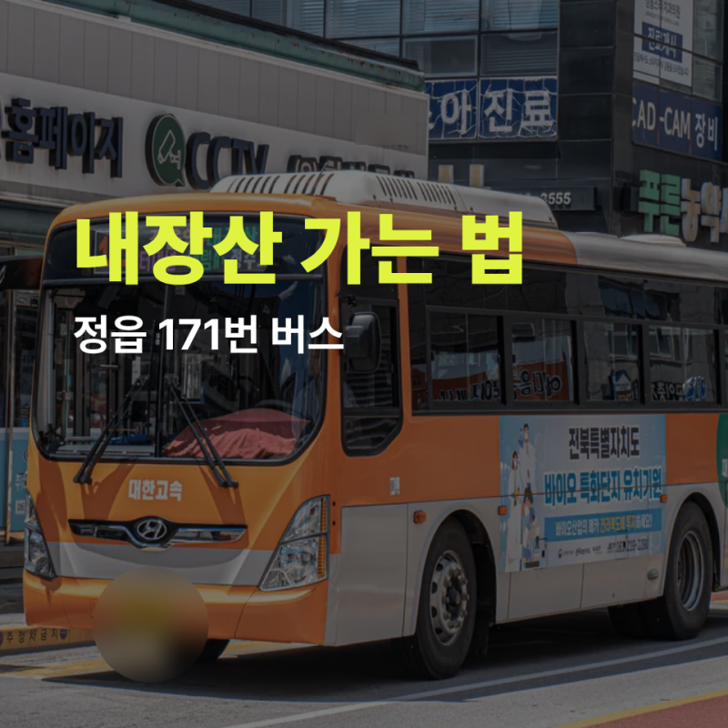 정읍역에서 내장산 가는 법 대중교통 171번 버스 뚜벅이 단풍여행