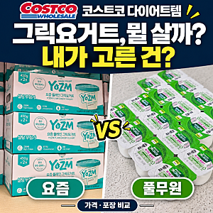 코스트코 다이어트템, 그릭요거트 풀무원 다논·요즘 가격 비교와 구매 후기
