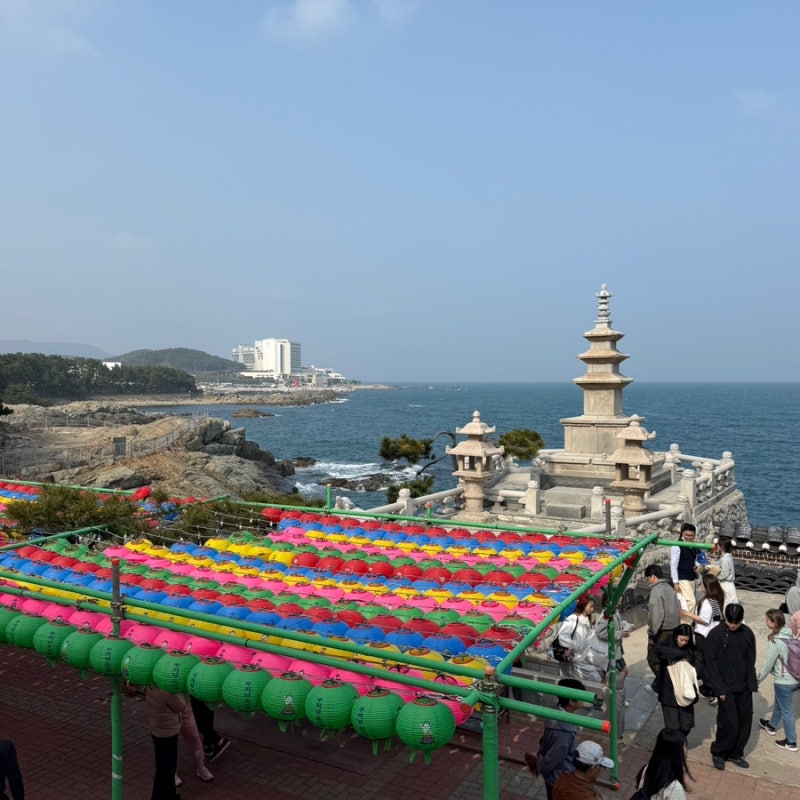 [부산 사찰] 부산 여행 필수 코스 바다와 가까운 사찰 ‘해동용궁사’