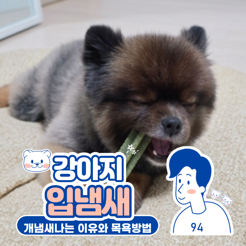 강아지입냄새 원인, 문제되는부분은? 관리방법까지 공부해요