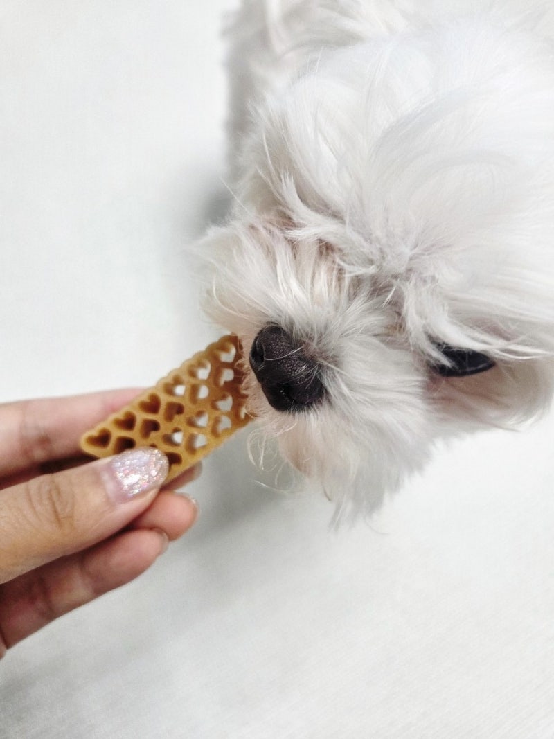 강아지덴탈껌 하트모양 헬시덴탈껌으로 입냄새와 치석 없애줘요