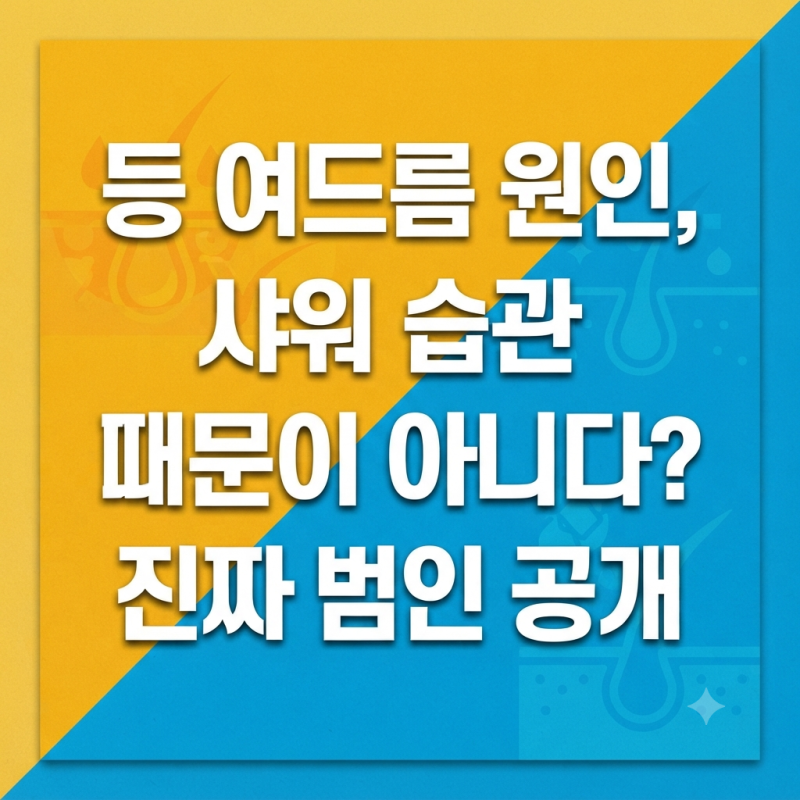 등 여드름 원인과 없애는 법, 단순히 샤워 안 해서일까? 쥐도 새도 모르게 피부 망치는 진짜 ....
